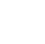 AMNH Arachnology Logo